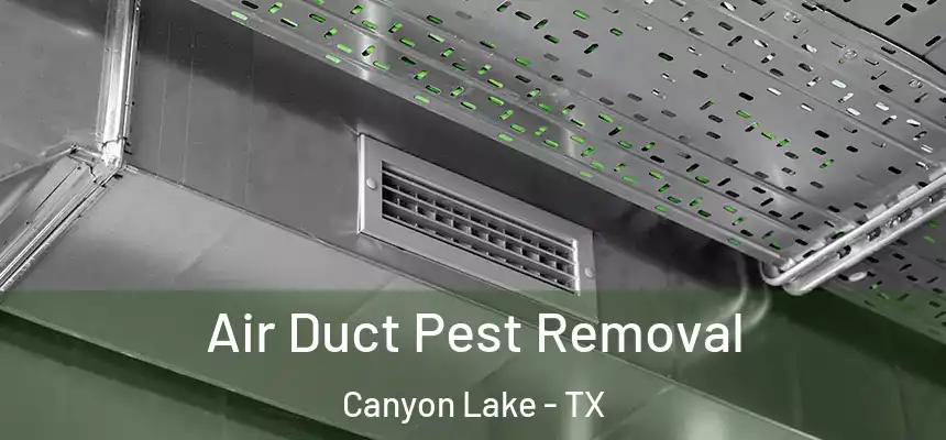  Air Duct Pest Removal Canyon Lake - TX