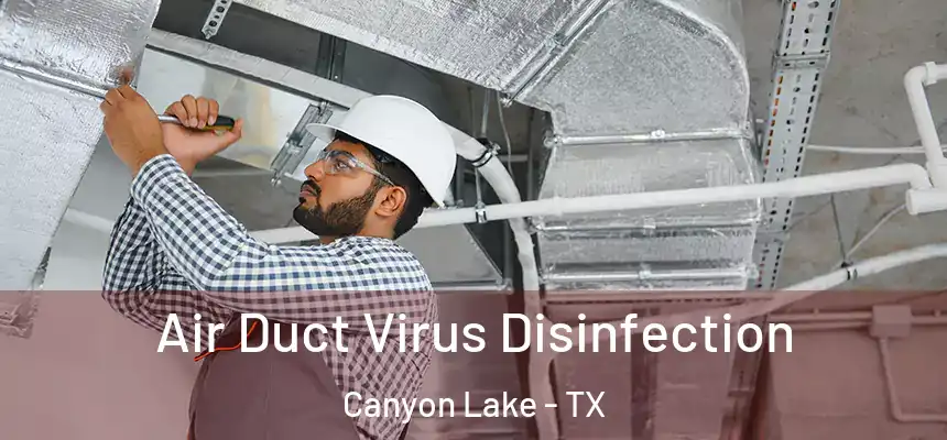  Air Duct Virus Disinfection Canyon Lake - TX