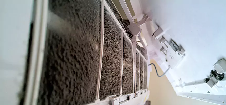 Preventive Air Duct Bacteria Removal in Canyon Lake