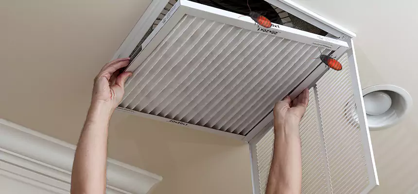 Preventive Cockroach-Proofing for Ducts in Canyon Lake