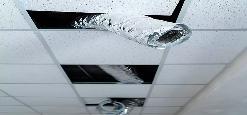 Affordable HVAC Sanitizing After Pest Removal in Canyon Lake