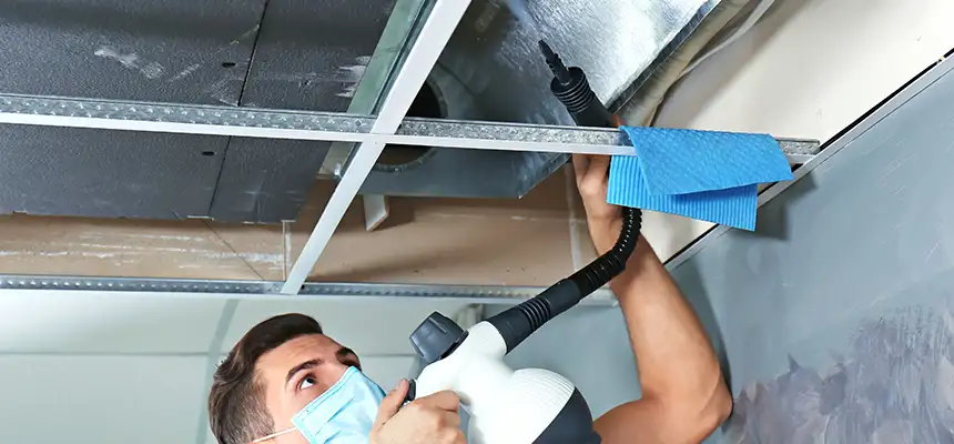 Our Air Duct Rodent Removal Services in Canyon Lake, TX