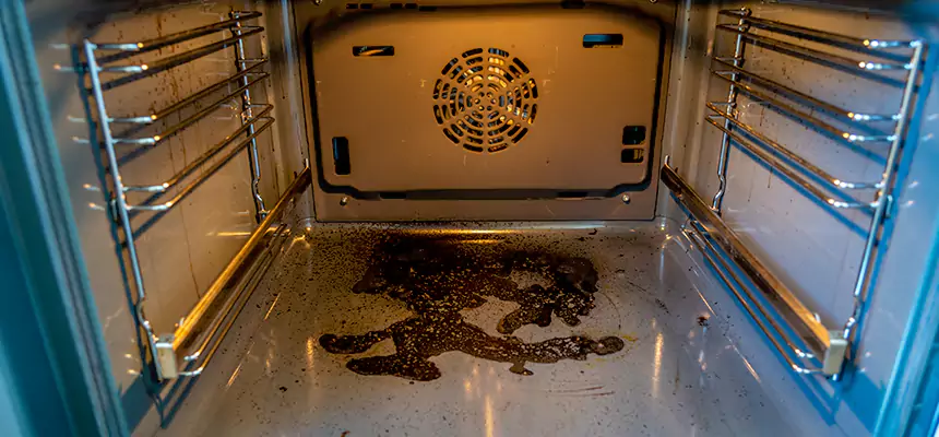 Our Dryer Vent Mold Cleaning Services in Canyon Lake, TX