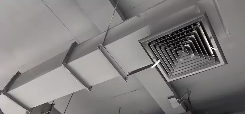 Our Pest Removal From Ducts Services in Canyon Lake, TX