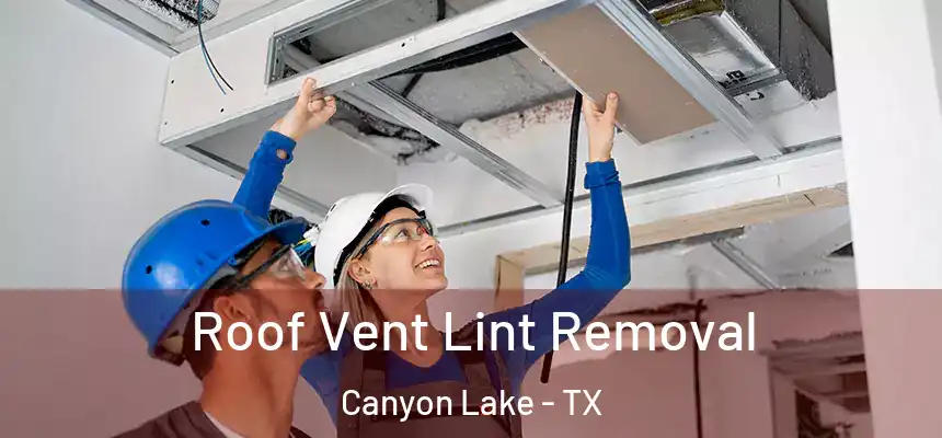  Roof Vent Lint Removal Canyon Lake - TX