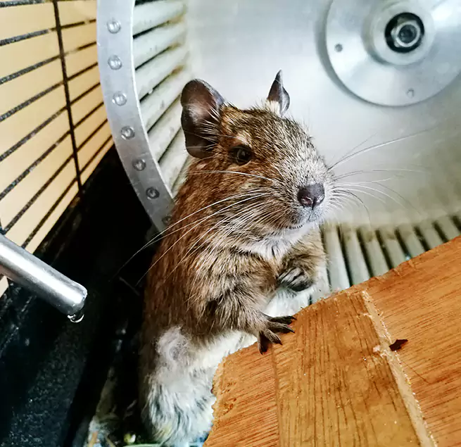 Why Homeowners & Businesses Trust Us Canyon Lake, TX?