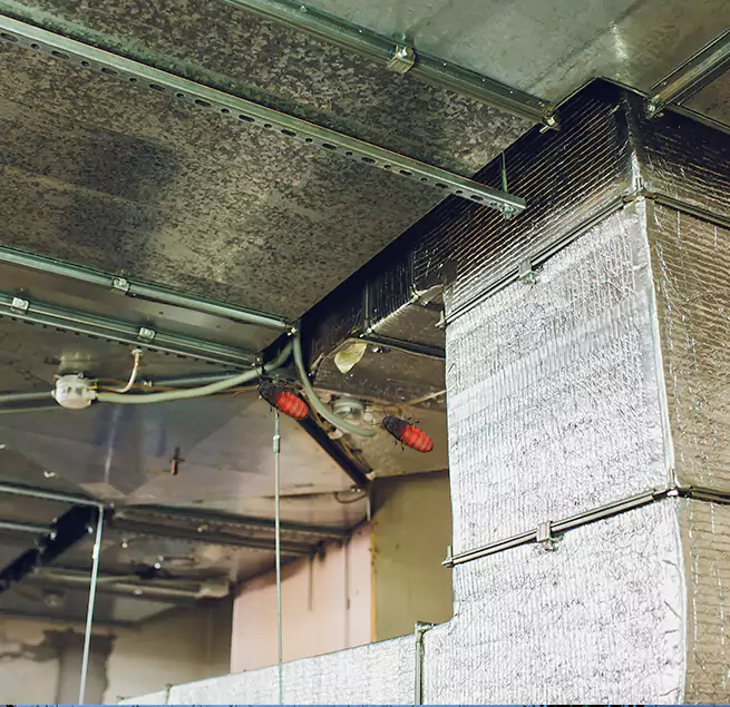 Why Homeowners & Businesses Trust Us Canyon Lake, TX?